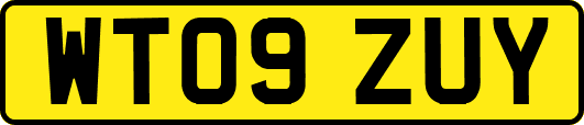 WT09ZUY