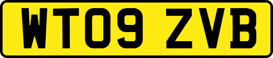 WT09ZVB