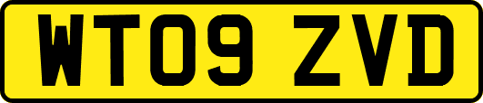 WT09ZVD