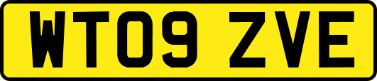 WT09ZVE