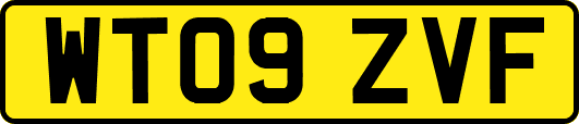 WT09ZVF