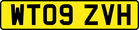WT09ZVH
