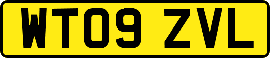 WT09ZVL