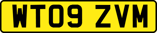 WT09ZVM