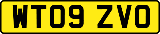 WT09ZVO