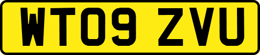 WT09ZVU