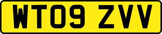 WT09ZVV