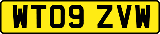 WT09ZVW