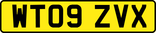 WT09ZVX