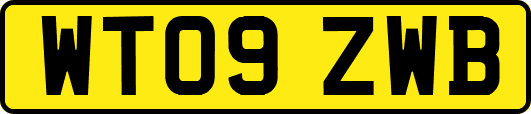 WT09ZWB