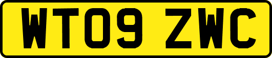WT09ZWC
