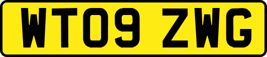 WT09ZWG