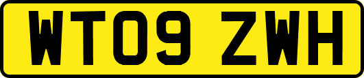 WT09ZWH