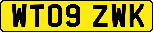 WT09ZWK