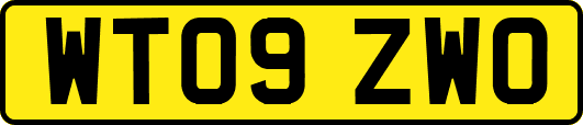 WT09ZWO