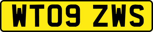 WT09ZWS