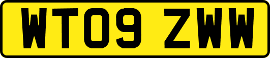 WT09ZWW