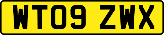 WT09ZWX