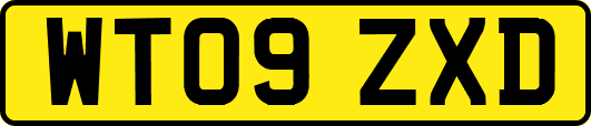 WT09ZXD