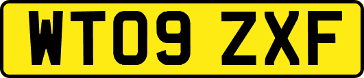 WT09ZXF
