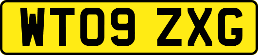 WT09ZXG