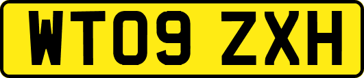WT09ZXH