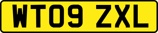 WT09ZXL