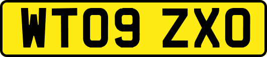 WT09ZXO