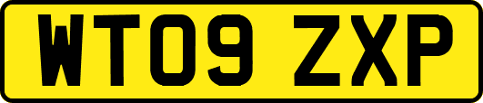 WT09ZXP