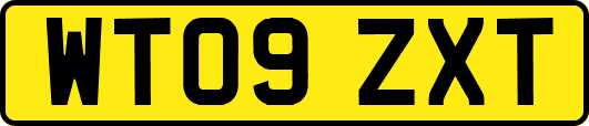WT09ZXT