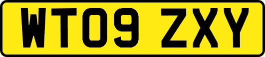 WT09ZXY
