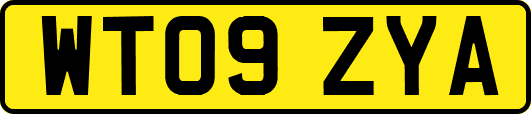 WT09ZYA