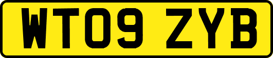 WT09ZYB