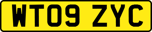 WT09ZYC