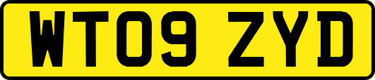 WT09ZYD