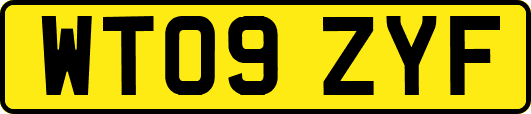WT09ZYF