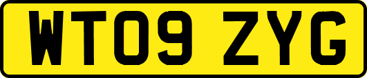 WT09ZYG