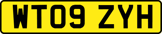 WT09ZYH