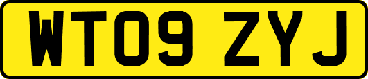 WT09ZYJ