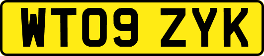 WT09ZYK