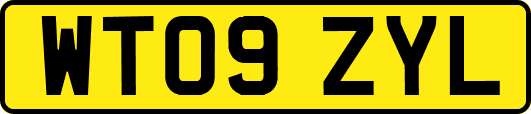 WT09ZYL