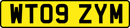 WT09ZYM