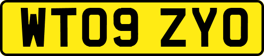 WT09ZYO