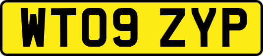 WT09ZYP