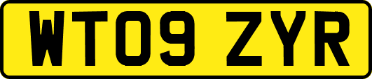 WT09ZYR