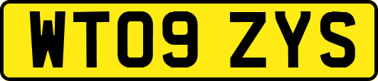 WT09ZYS