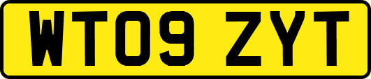 WT09ZYT