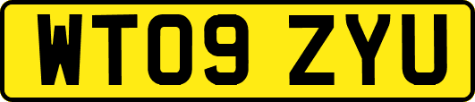 WT09ZYU