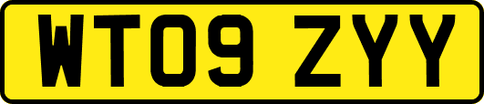 WT09ZYY