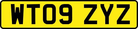 WT09ZYZ